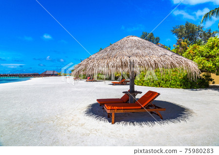 Sunbed and umbrella in the Maldives 75980283