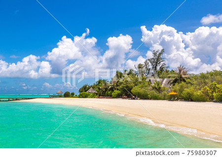 Tropical beach in the Maldives 75980307