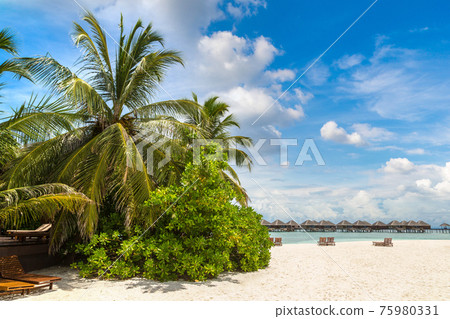 Sunbed and umbrella in the Maldives 75980331