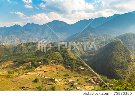 Terraced rice field in Sapa Terraced rice field in Sapa 75980390