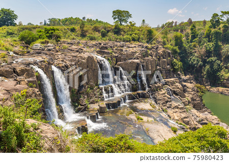 Pongour Waterfall, Vietnam 75980423