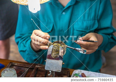 Pearl farm in Halong bay, Vietnam Pearl farm in Halong bay, Vietnam 75980435