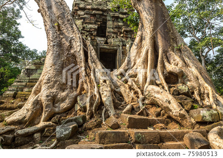 Preah Palilay temple in Angkor Wat Preah Palilay temple in Angkor Wat 75980513