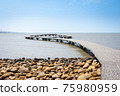 The walkway in Siangshan Wetland of Hsinchu, Taiwan. 75980959