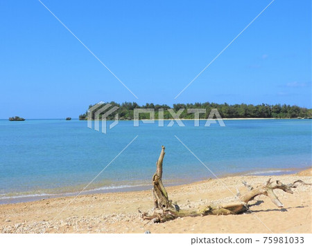 Okinawa Sea 2021 75981033