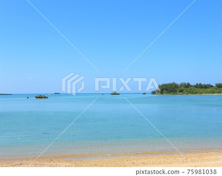 Okinawa Sea 2021 75981038