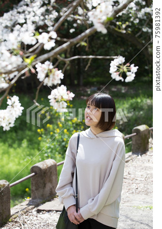 看櫻花的女人 看櫻花的女人 75981392