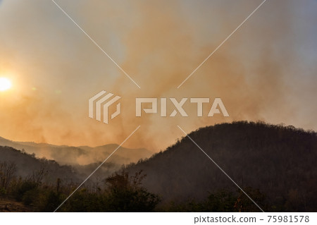 Forest fire smoke in northern Thailand. 75981578
