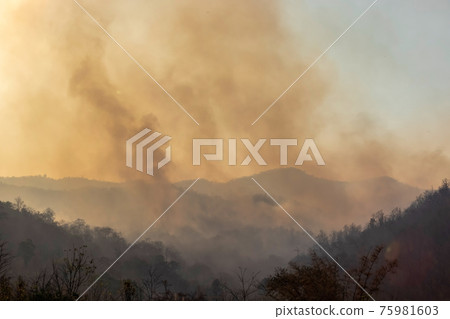 Forest fire smoke in northern Thailand. Forest fire smoke in northern Thailand. 75981603