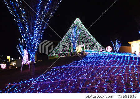 在冬季公園看到的照明 在冬季公園看到的照明 75981633