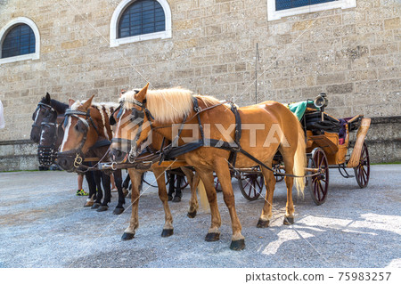 Carriage with horses in Salzburg Carriage with horses in Salzburg 75983257
