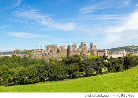 Conwy Castle in Wales 75983456