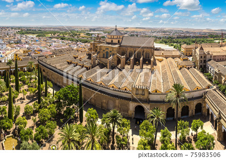 Panoramic view of the Great Mosque Panoramic view of the Great Mosque 75983506