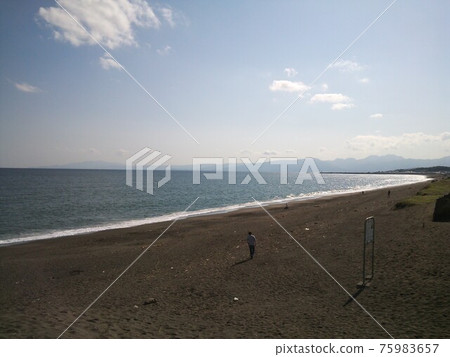 海 海 75983657