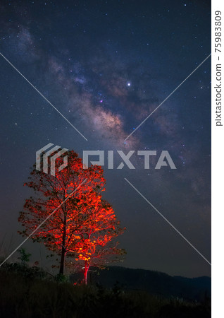 Milky way 75983809