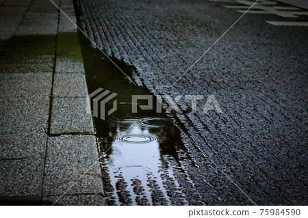 雨和水坑 雨和水坑 75984590