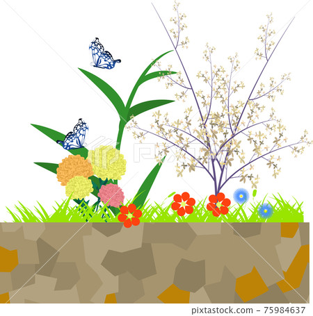 Fashionable flower bed 75984637