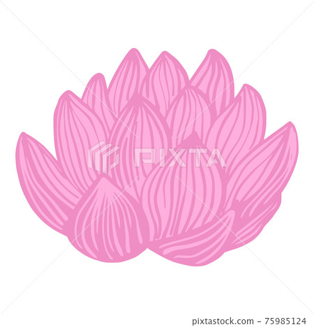 Pink Lotus flower isolated on white background. Abstract sketch botanical bud in doodle style. Pink Lotus flower isolated on white background. Abstract sketch botanical bud in doodle style. 75985124