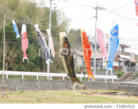 Carp streamer fried in hope of child's growth 75985522
