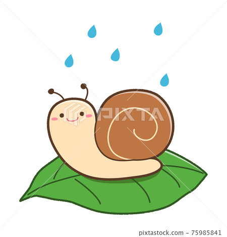 Snail on a leaf Snail on a leaf 75985841