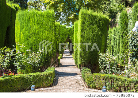 Gardens in Alhambra palace in Granada 75986072