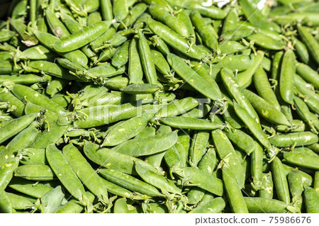 Background of peas Background of peas 75986676