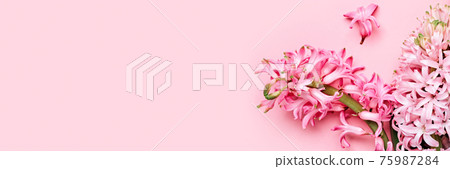 Flowers festive composition. Pink Spring or Easter Floral Background. Beautiful hyacinths flowers, Hello spring concept Flowers festive composition. Pink Spring or Easter Floral Background. Beautiful hyacinths flowers, Hello spring concept 75987284