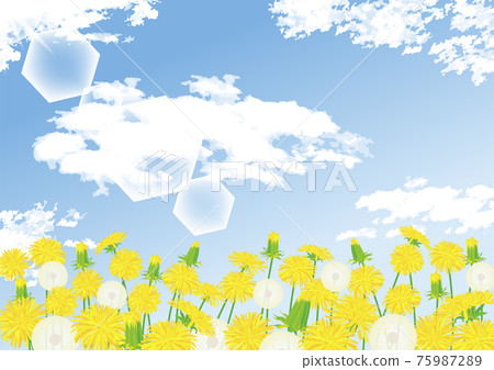 Dandelion dandelion Dandelion dandelion 75987289