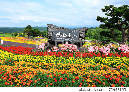 澤魯布山花景 75988165