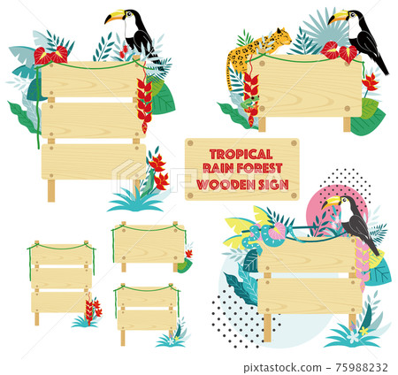 雨林主題樹標誌集 雨林主題樹標誌集 75988232