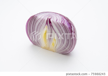 Cross section of purple onion Cross section of purple onion 75988243
