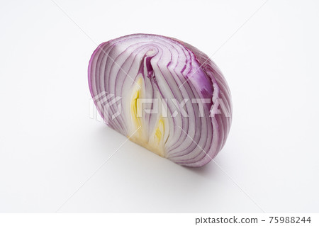 Cross section of purple onion Cross section of purple onion 75988244