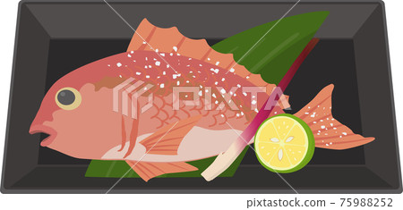 Grilled sea bream with salted bamboo grass, hajikami, square plate with kabosu 75988252