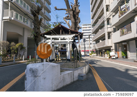 Kusunoki Ogami [Osaka City, Tanimachi 7-chome intersection east side] 75989097