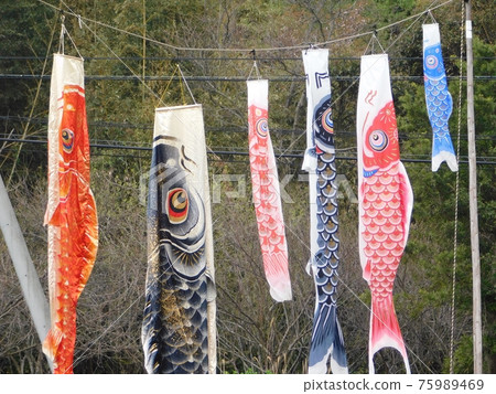 鯉魚旗一家 鯉魚旗一家 75989469