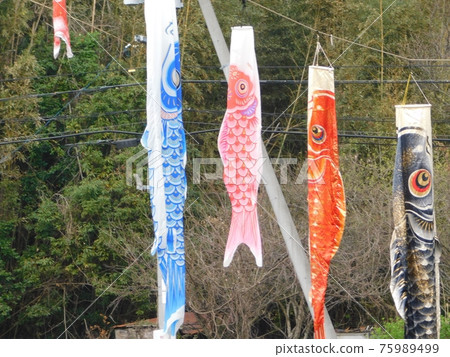 Brothers and sisters of carp streamers swimming in a breeze Brothers and sisters of carp streamers swimming in a breeze 75989499