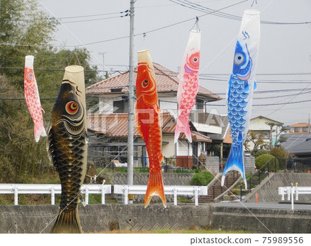 Colorful carp streamer swimming in a breeze 75989556