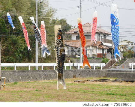 五顏六色的鯉魚旗在微風中游弋 75989603