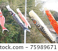 A carp streamer that swims comfortably in the wind 75989671