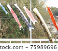 A carp streamer that swims in a smooth wind 75989696