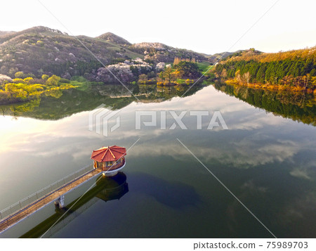 Spring of the dragonfly Spring of the dragonfly 75989703