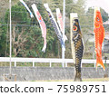 Parent carp streamer watching over children's swimming 75989751