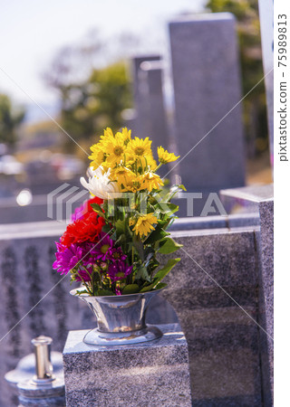 春分週的墓地 75989813