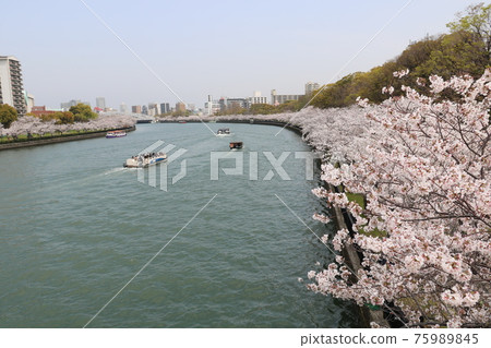 大阪川崎大橋的景色 大阪川崎大橋的景色 75989845