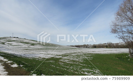 Snowy landscape Snowy landscape 75989909
