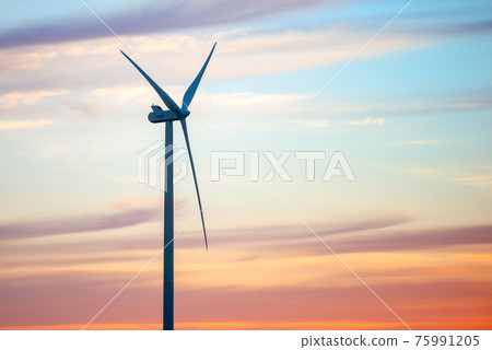 Windmills for electric power production at sunset 75991205