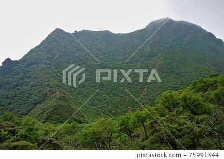 The crater of Mt. Yufu and the ridgeline of the eastern peak 75991344