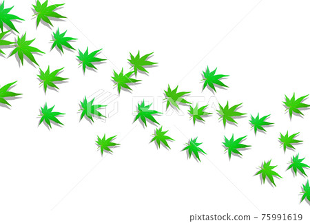 Maple fresh green summer visit background 75991619