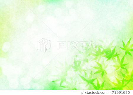 Maple fresh green summer visit background 75991620