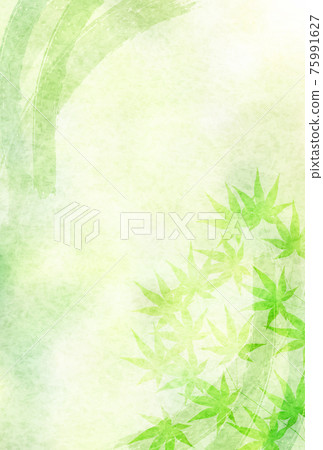 Maple fresh green summer visit background Maple fresh green summer visit background 75991627